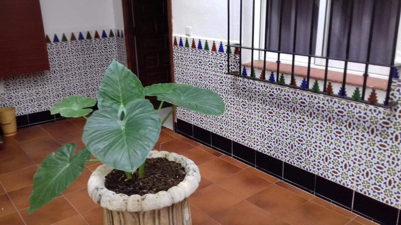 Pompeyos Viviendas Vacacionales Кордова Екстер'єр фото
